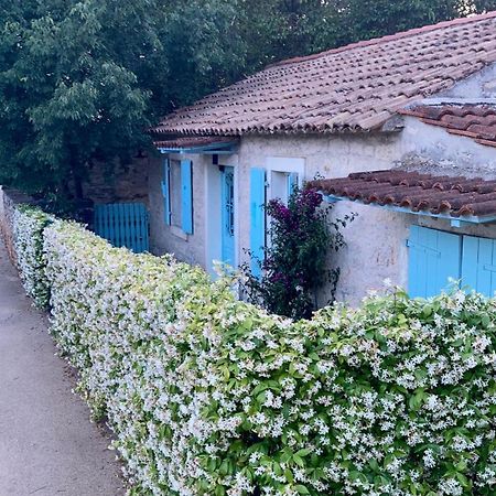 Vila Majda Tar-Vabriga ภายนอก รูปภาพ