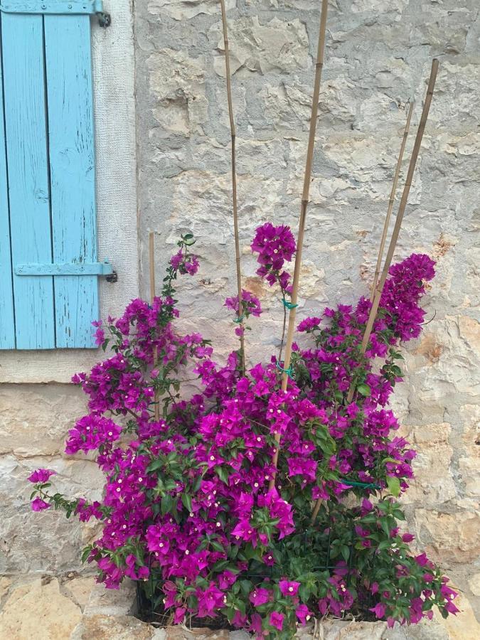 Vila Majda Tar-Vabriga ภายนอก รูปภาพ