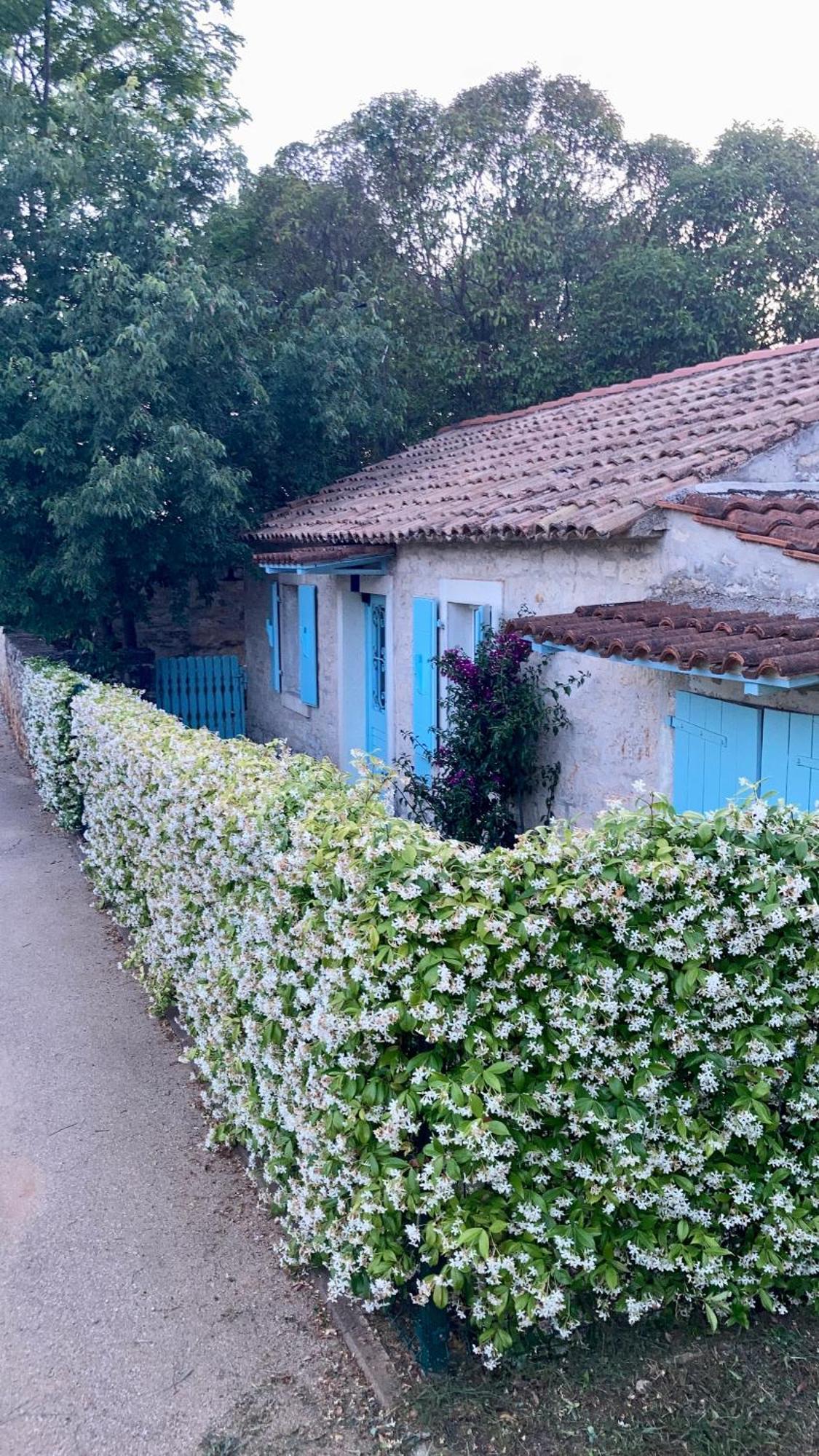 Vila Majda Tar-Vabriga ภายนอก รูปภาพ